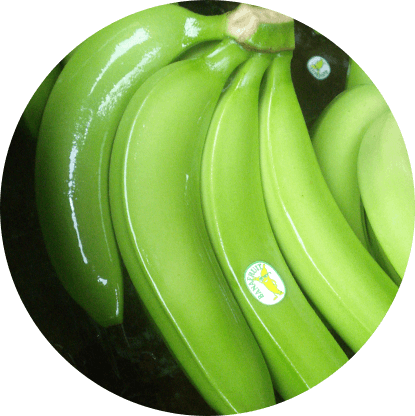 banana circle home